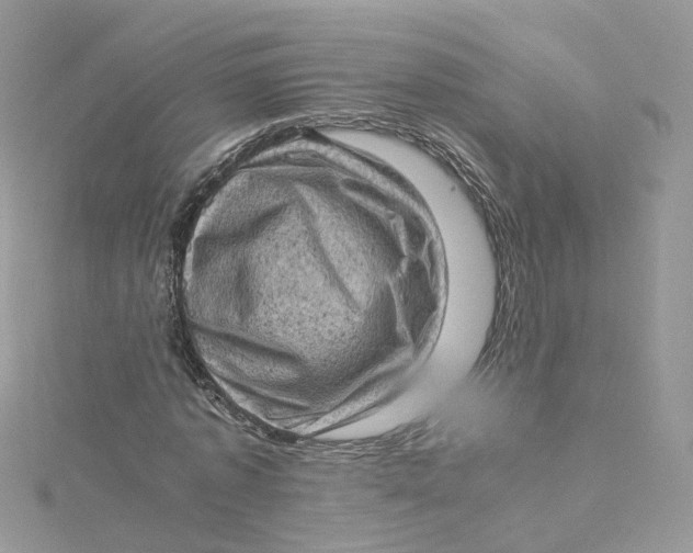 X0000115150773200911171240