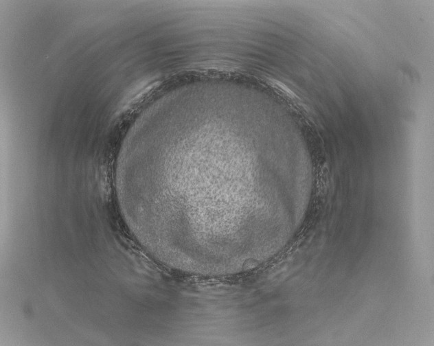 X0000115150774200911171240