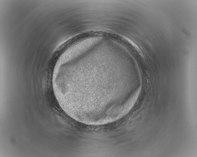 X0000115150775200911171240