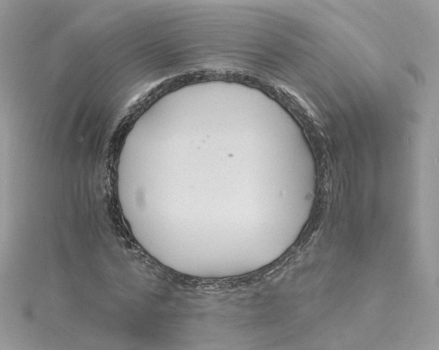 X0000115150776200911171240