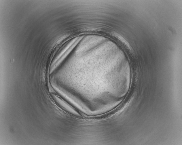 X0000115150777200911171240