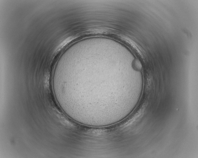 X0000115150778200911171240