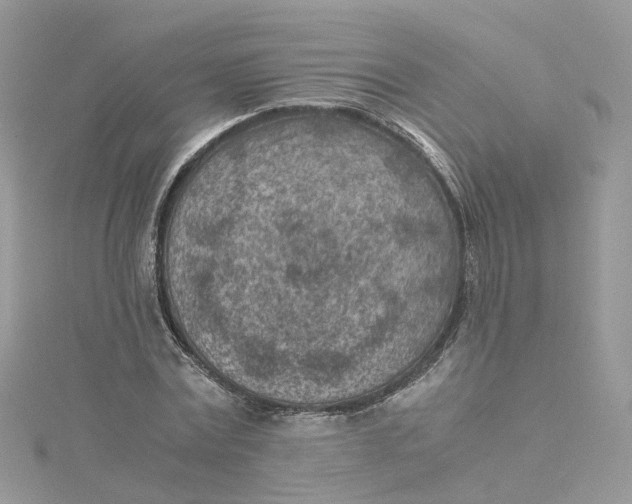 X0000115150779200911171240