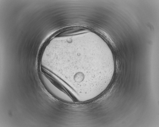 X0000115150780200911171240