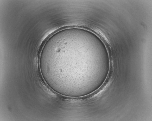 X0000115150781200911171240