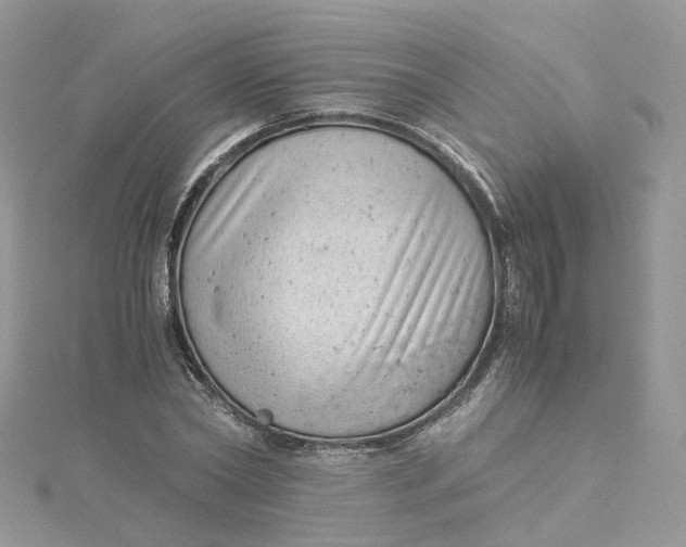 X0000115150782200911171240