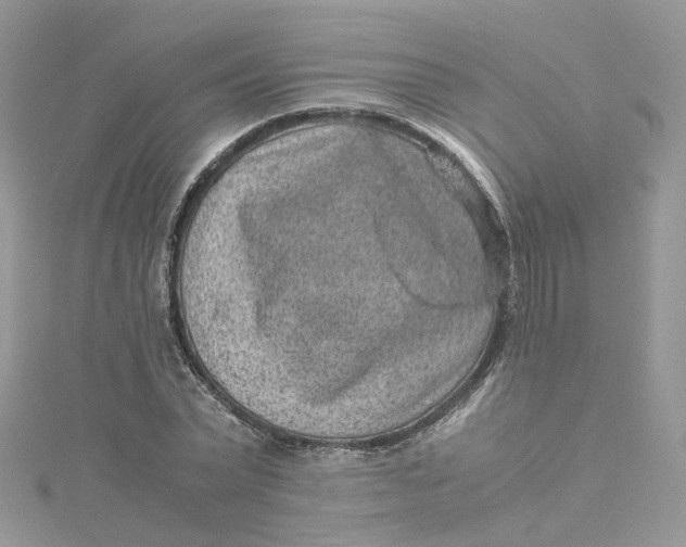 X0000115150783200911171240