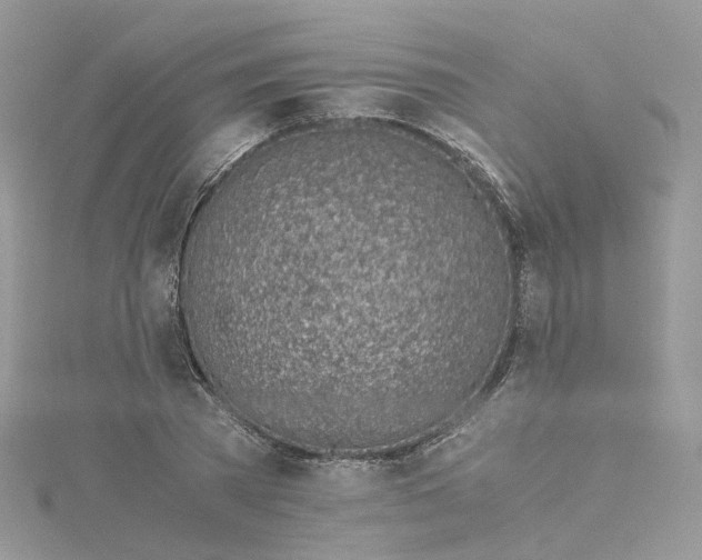 X0000115150785200911171240