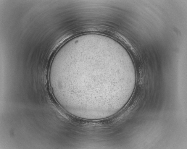 X0000115150786200911171240