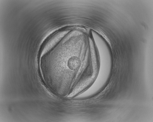 X0000115150789200911171240