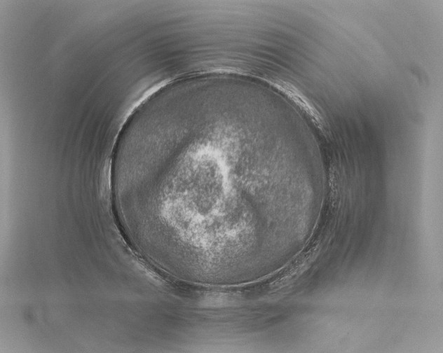 X0000115150790200911171240