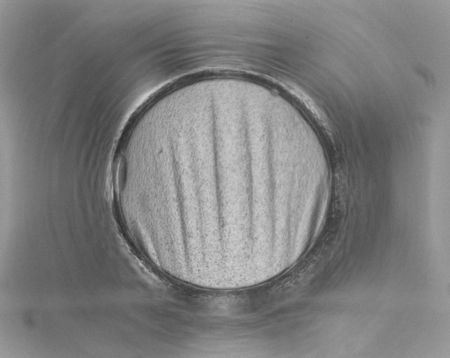 X0000115150791200911171240