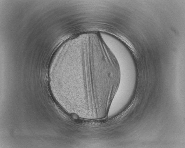 X0000115150793200911171240