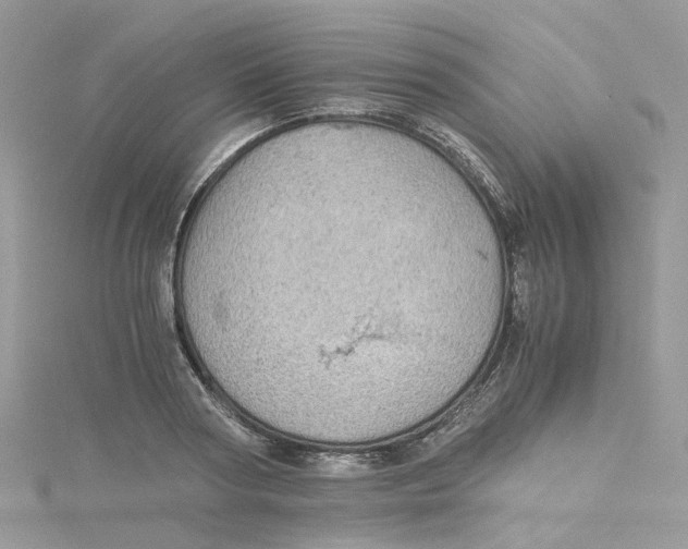 X0000115150794200911171239