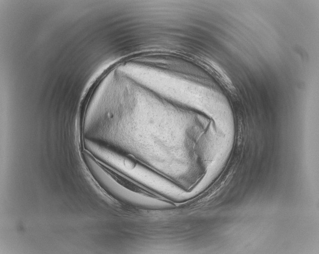 X0000115150796200911171239