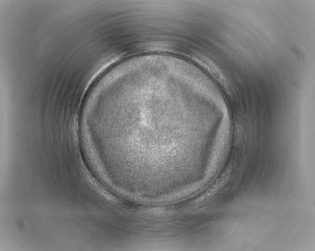 X0000115150798200911171239