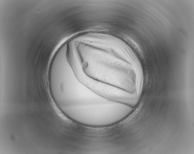 X0000115150800200911171239