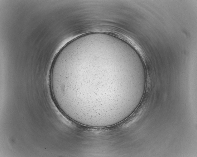 X0000115150803200911171239