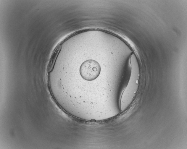 X0000115150807200911171239