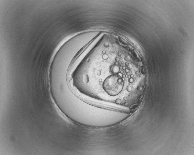 X0000115150808200911171239