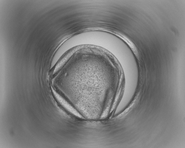 X0000115150809200911171239