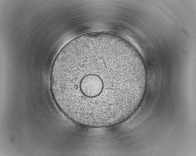 X0000115150810200911171239