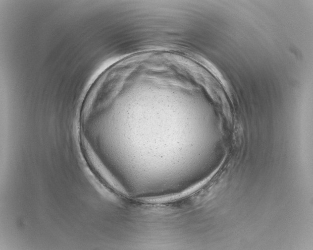 X0000115150811200911171239