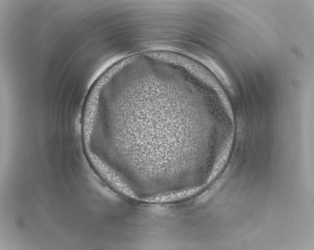 X0000115150814200911171239