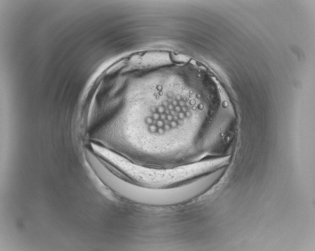 X0000115150816200911171239