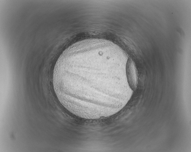 X0000115150817200911171239