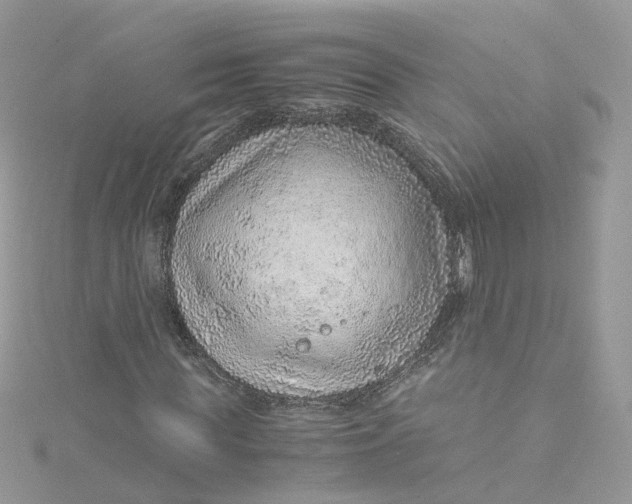 X0000115150819200911171239