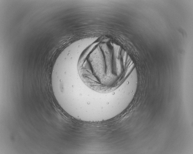 X0000115150820200911171239