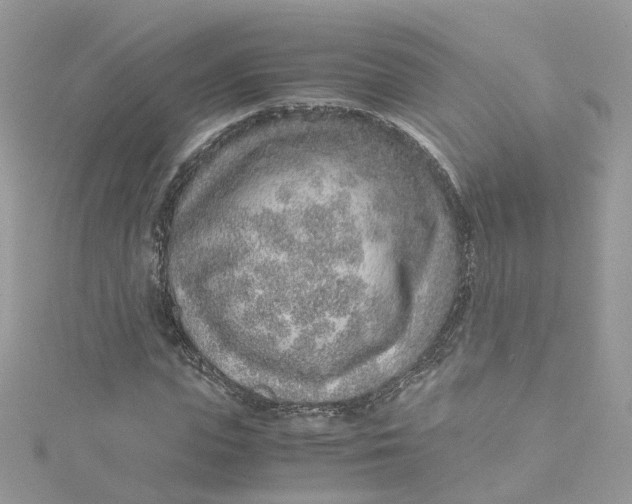 X0000115150823200911171239