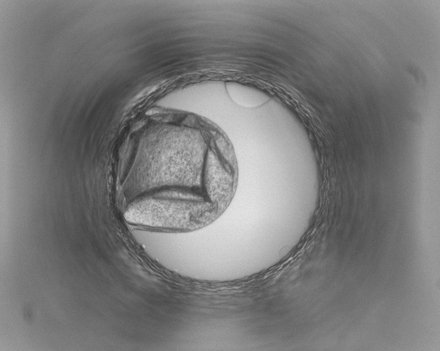 X0000115150824200911171239