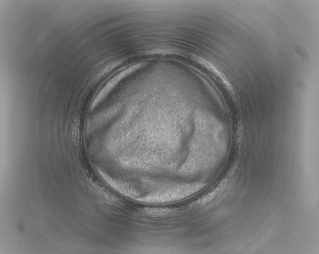 X0000115150825200911171239