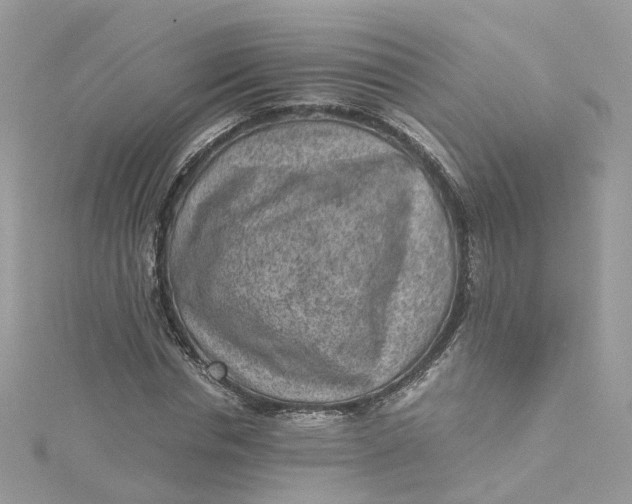 X0000115150826200911171239