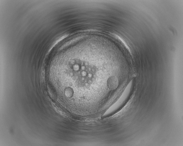 X0000115150827200911171239