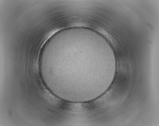 X0000115150828200911171239