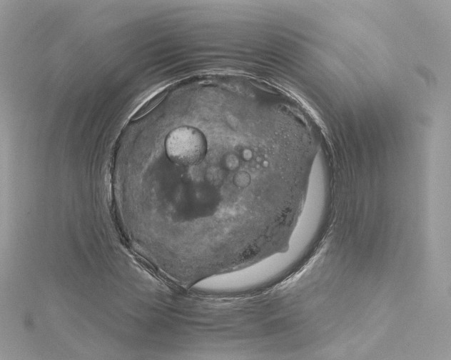 X0000115150829200911171239