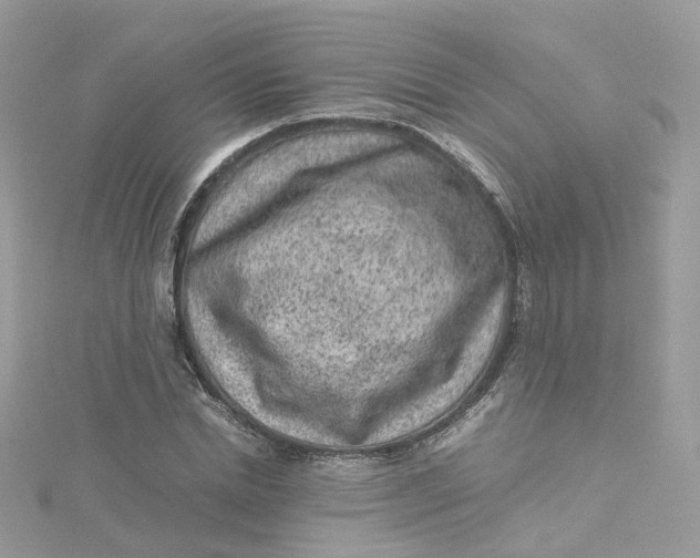 X0000115150830200911171239