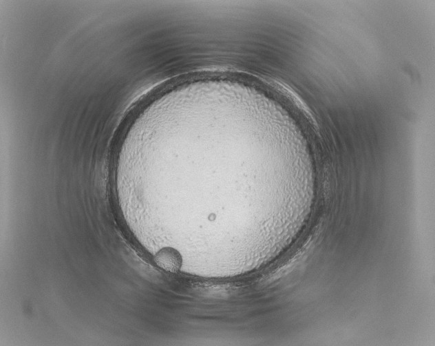 X0000115150831200911171239