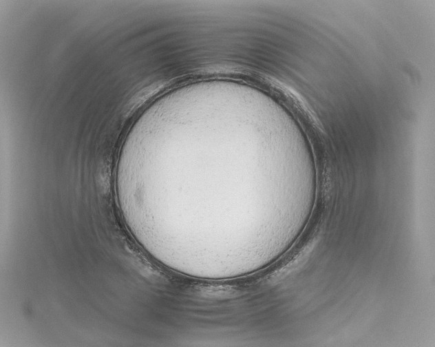 X0000115150833200911171239