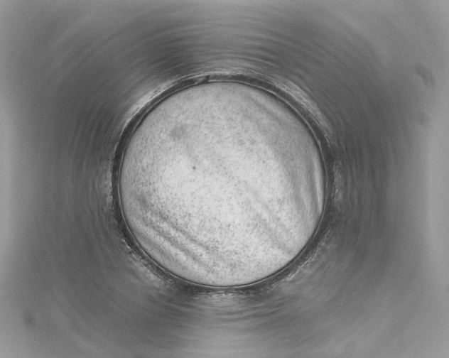 X0000115150834200911171239