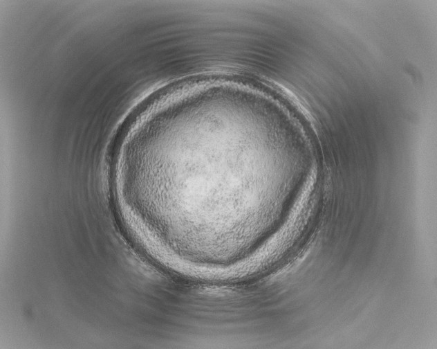 X0000115150835200911171239