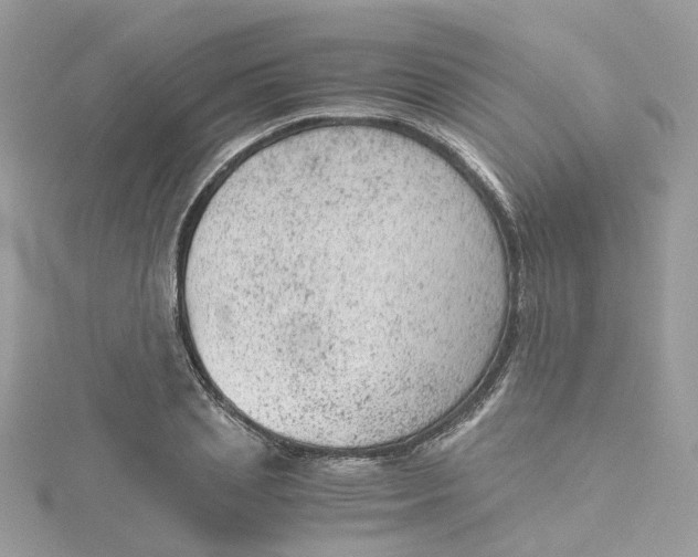 X0000115150837200911171239