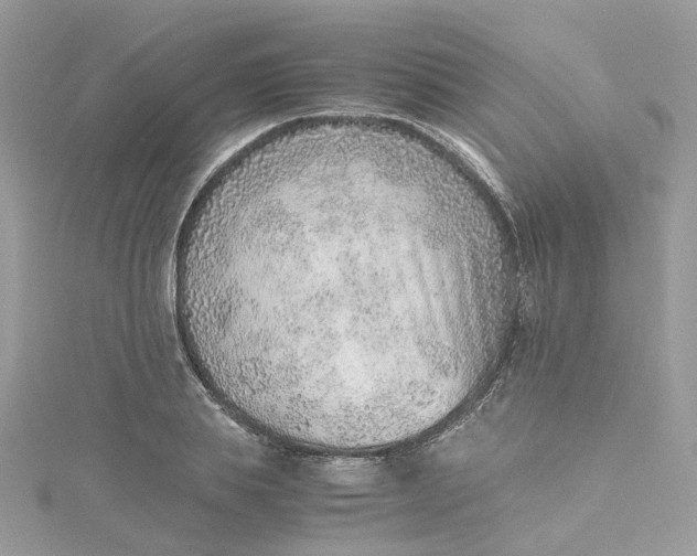 X0000115150839200911171239