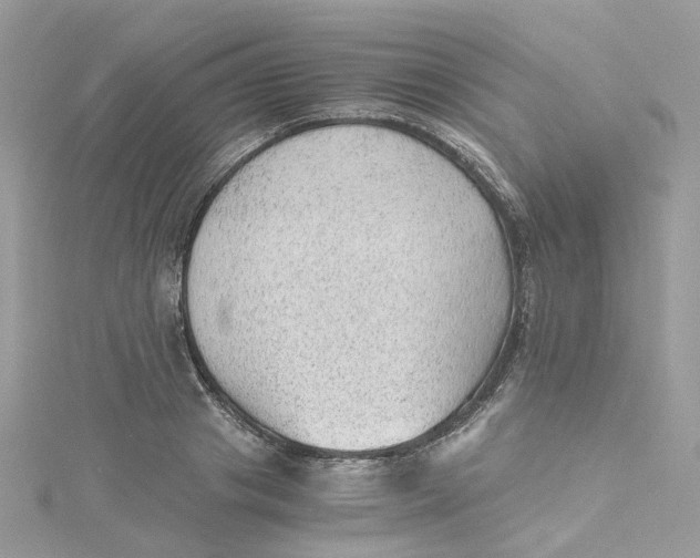 X0000115150841200911171239