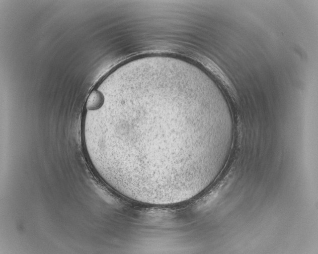 X0000115150842200911171239