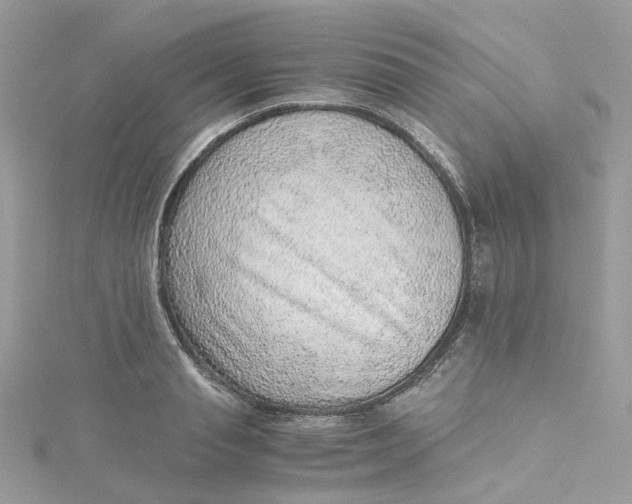 X0000115150845200911171239