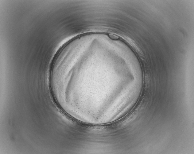 X0000115150846200911171239